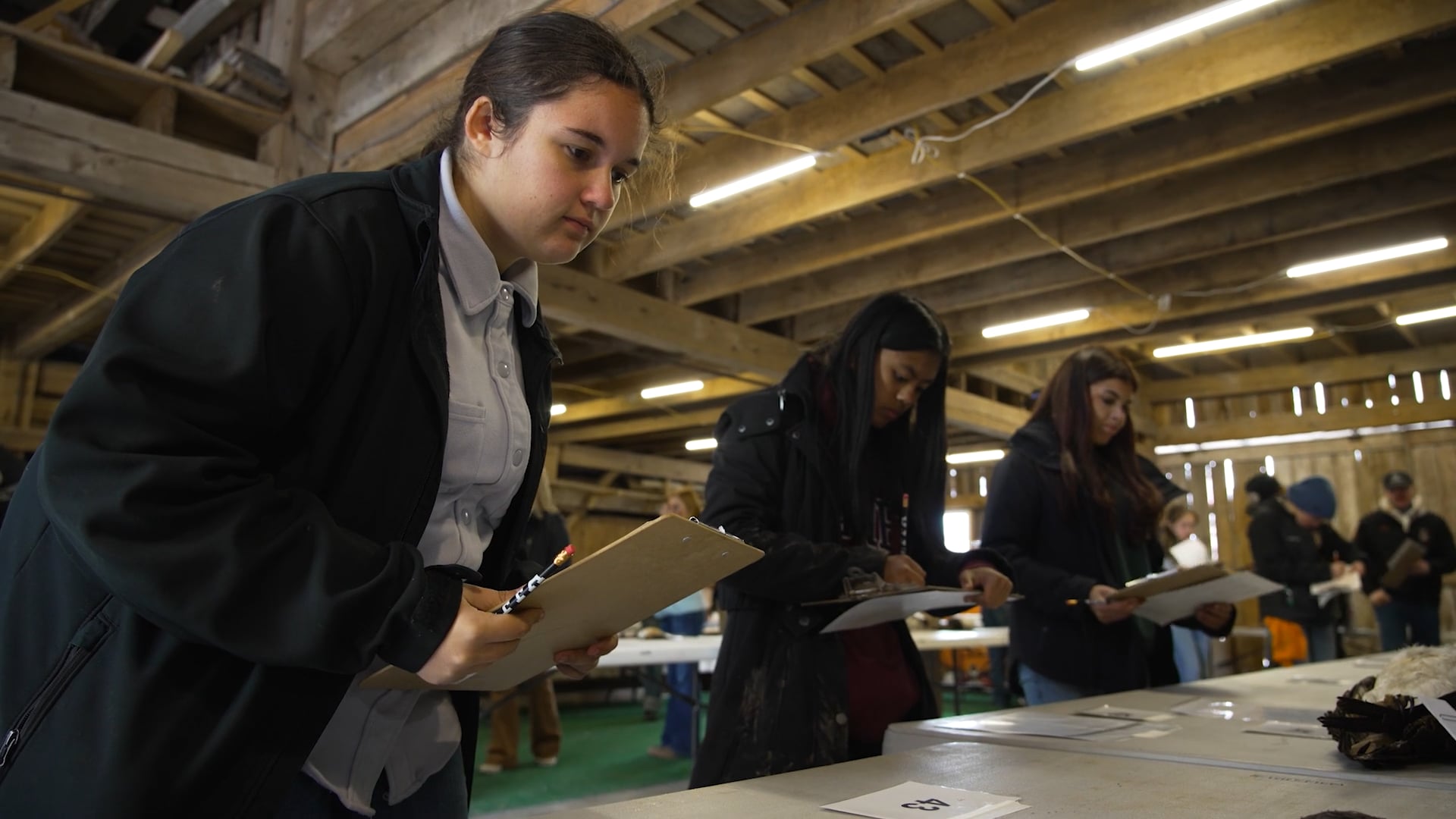 Digging Deep for Environmental Insights