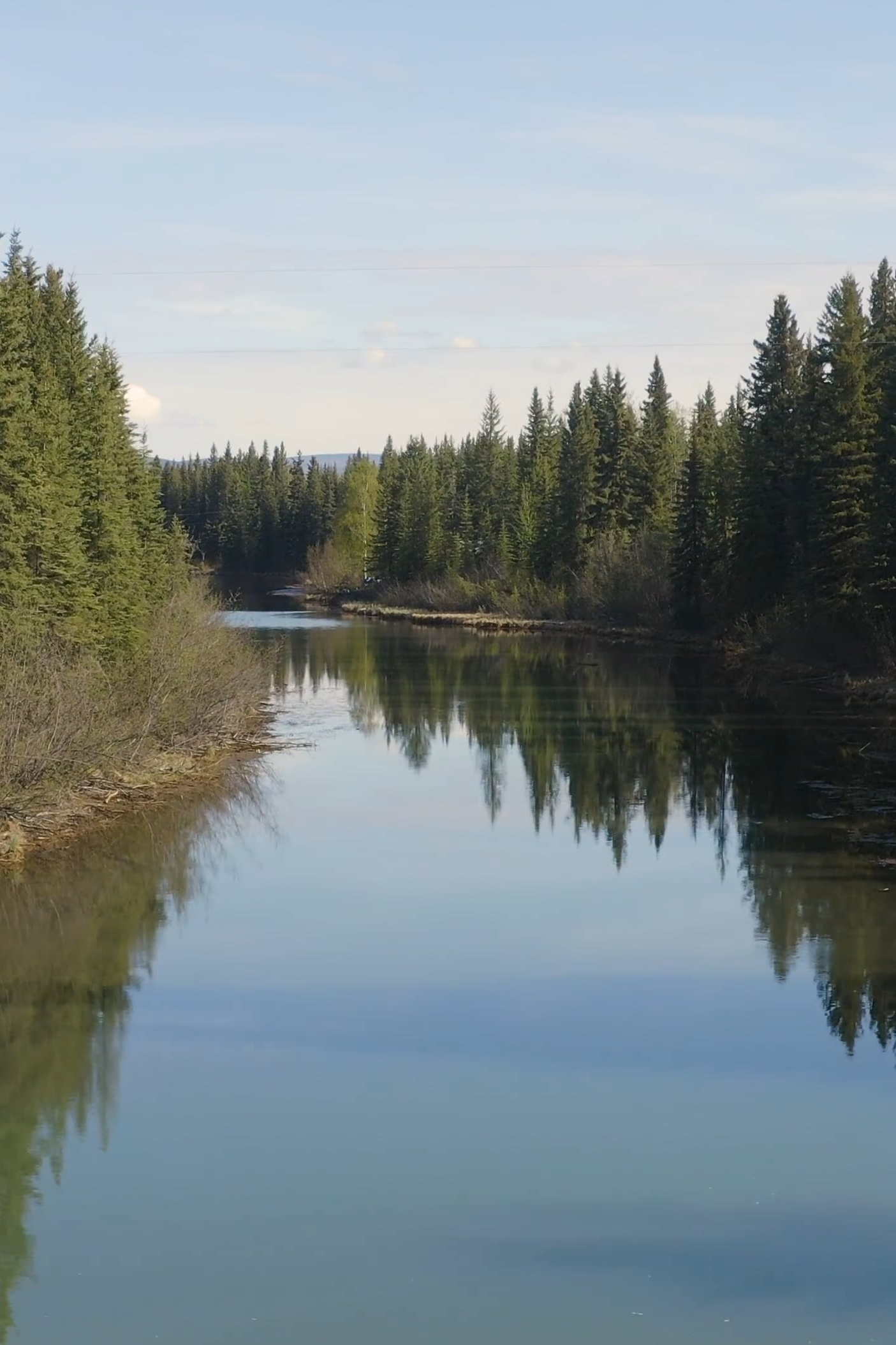Natural Experiences | FFA Across Alaska