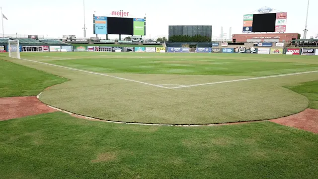 Sports Turf Management SAE