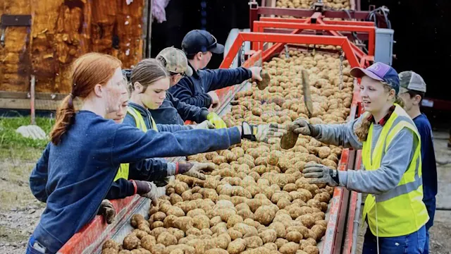 Vegetable Production | SAE