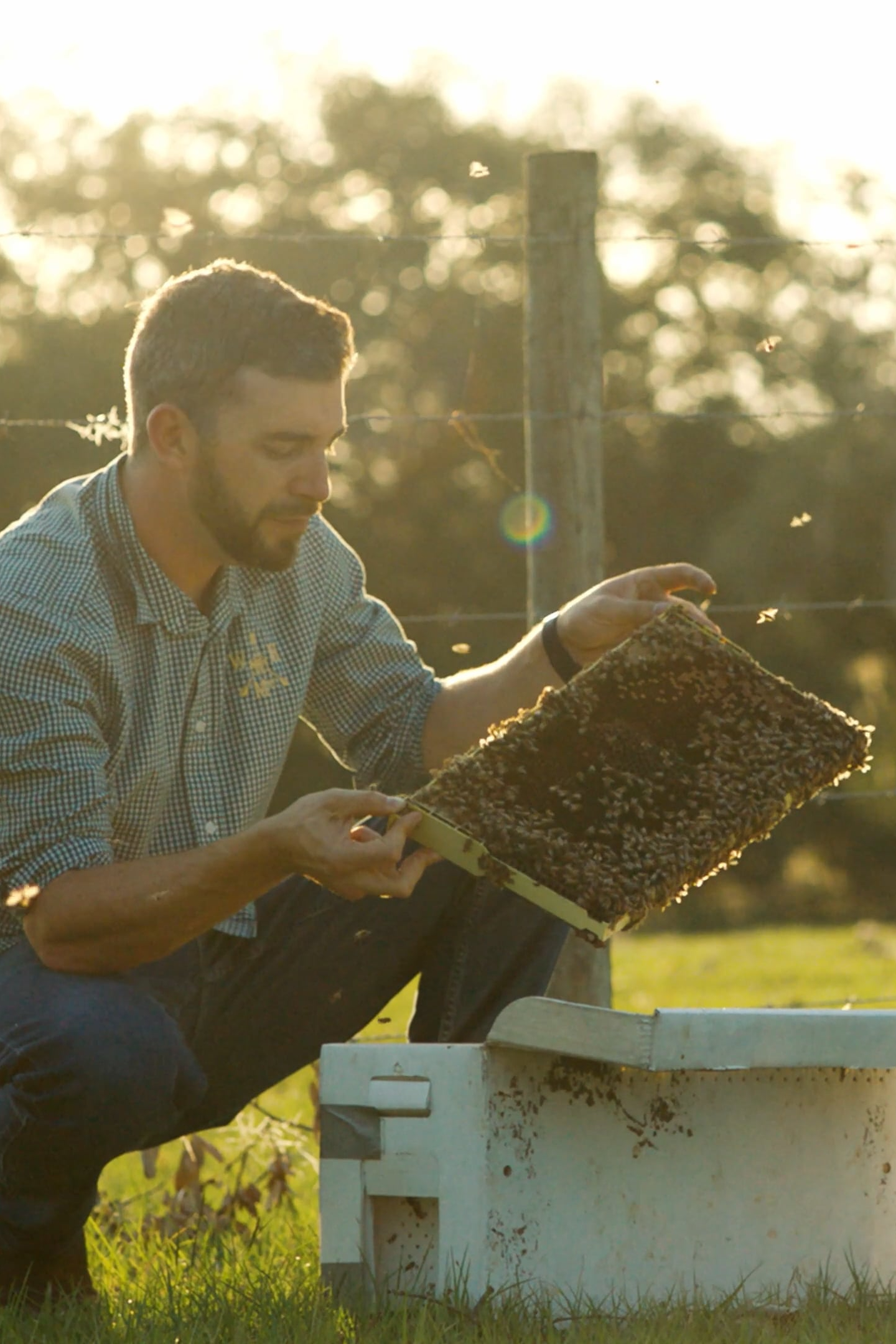 From One Hive Into a Beekeeping Operation