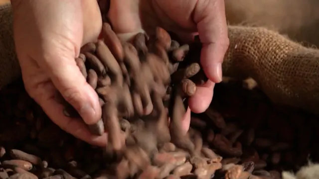 Chapter 5 Dairy to the Dish with Culvers