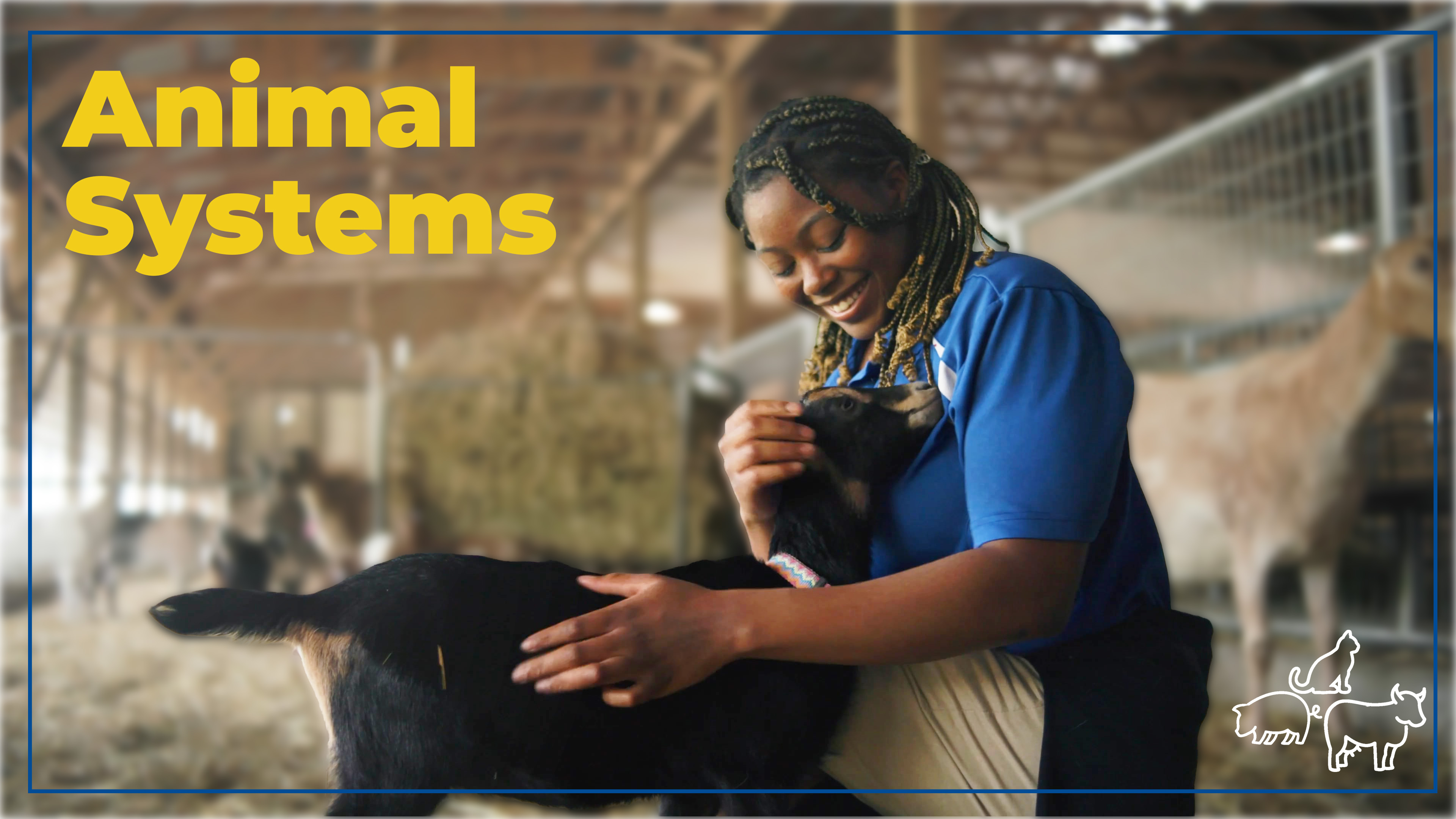 Animal Systems | SAE