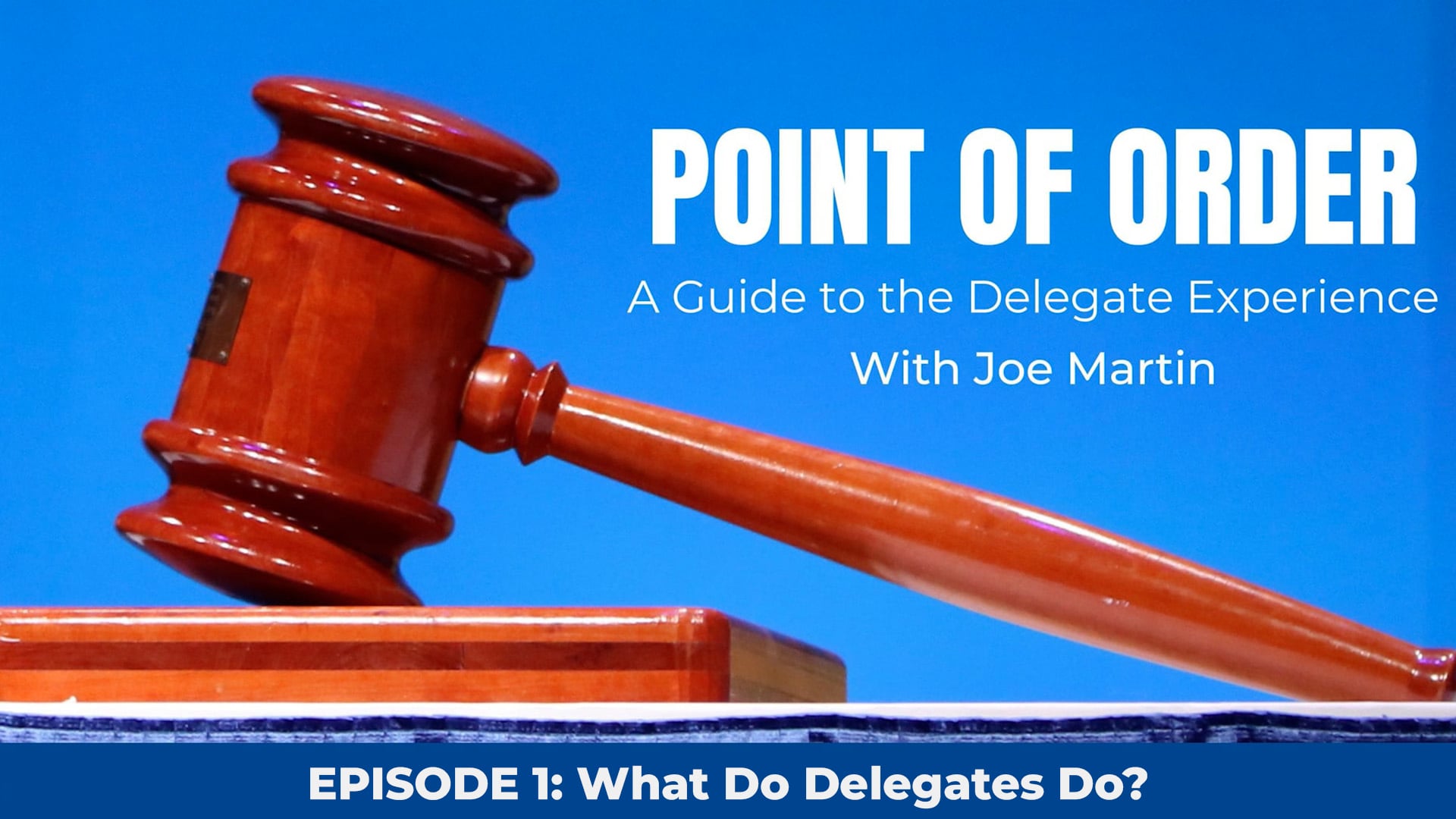 Episode 1 | What do Delegates do?