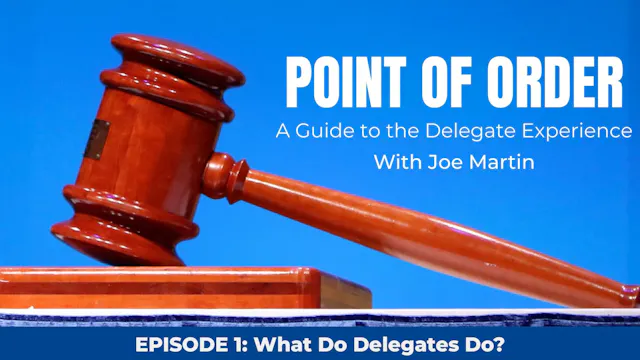 Episode 1 | What do Delegates do?
