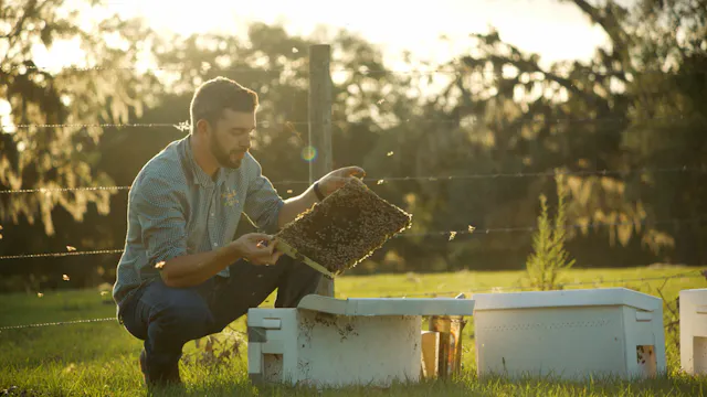 From One Hive Into a Beekeeping Opera...