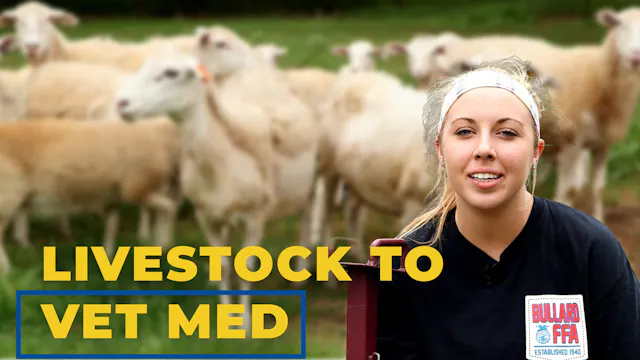 From the Barn to the Vet Clinic | SAE