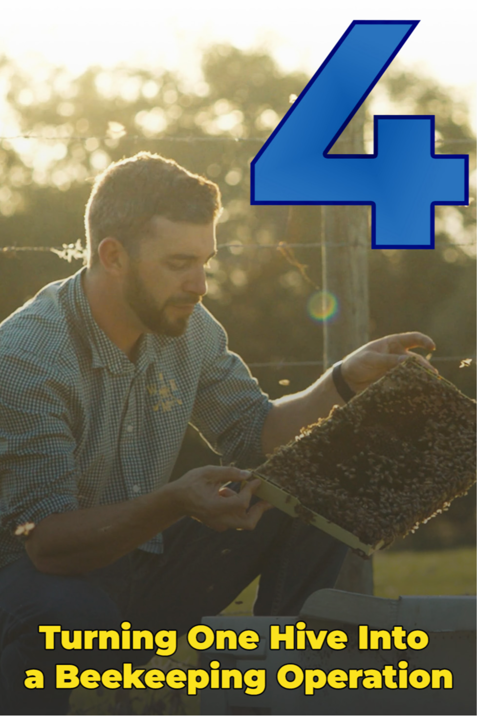 Turning One Hive Into a Beekeeping Operation