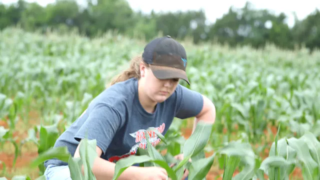 Agritourism SAE