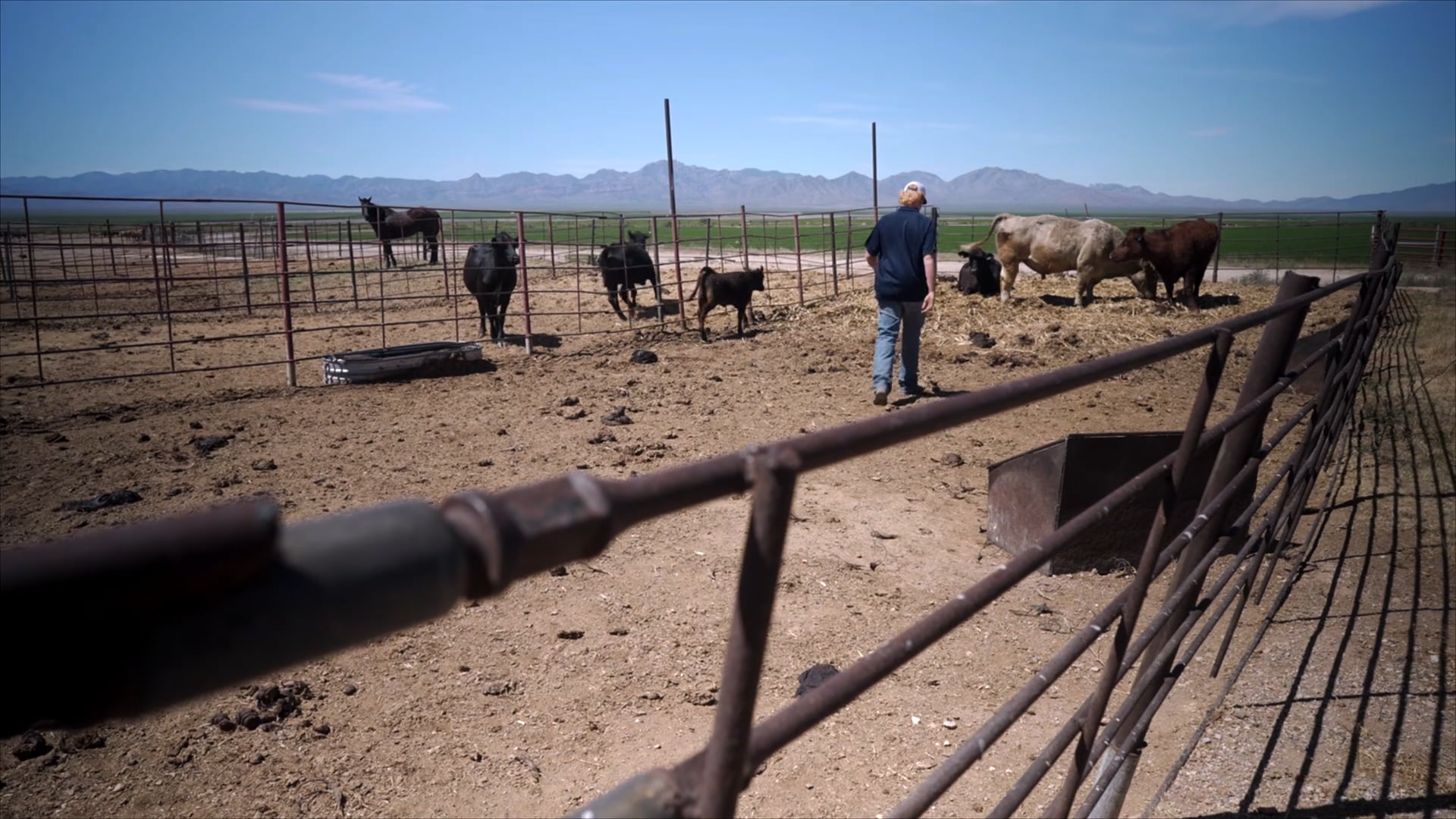 Ranch Management SAE