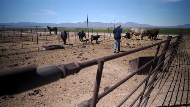 Ranch Management SAE