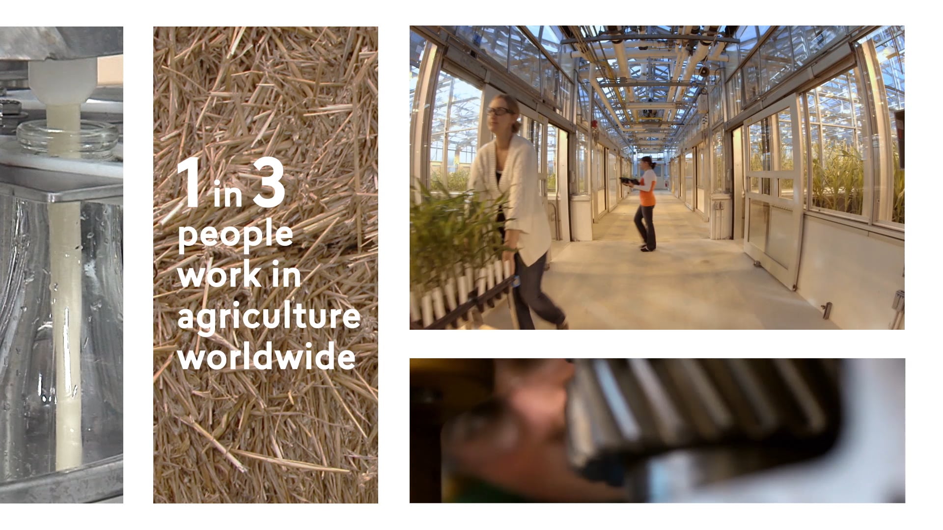 Environmental Service Systems | AgExplorer Career Pathways