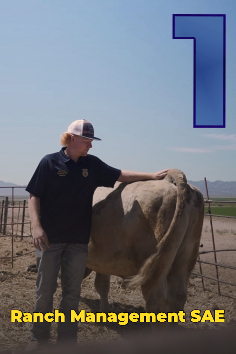 Ranch Management SAE