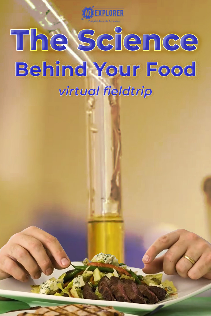 The Science Behind Your Food