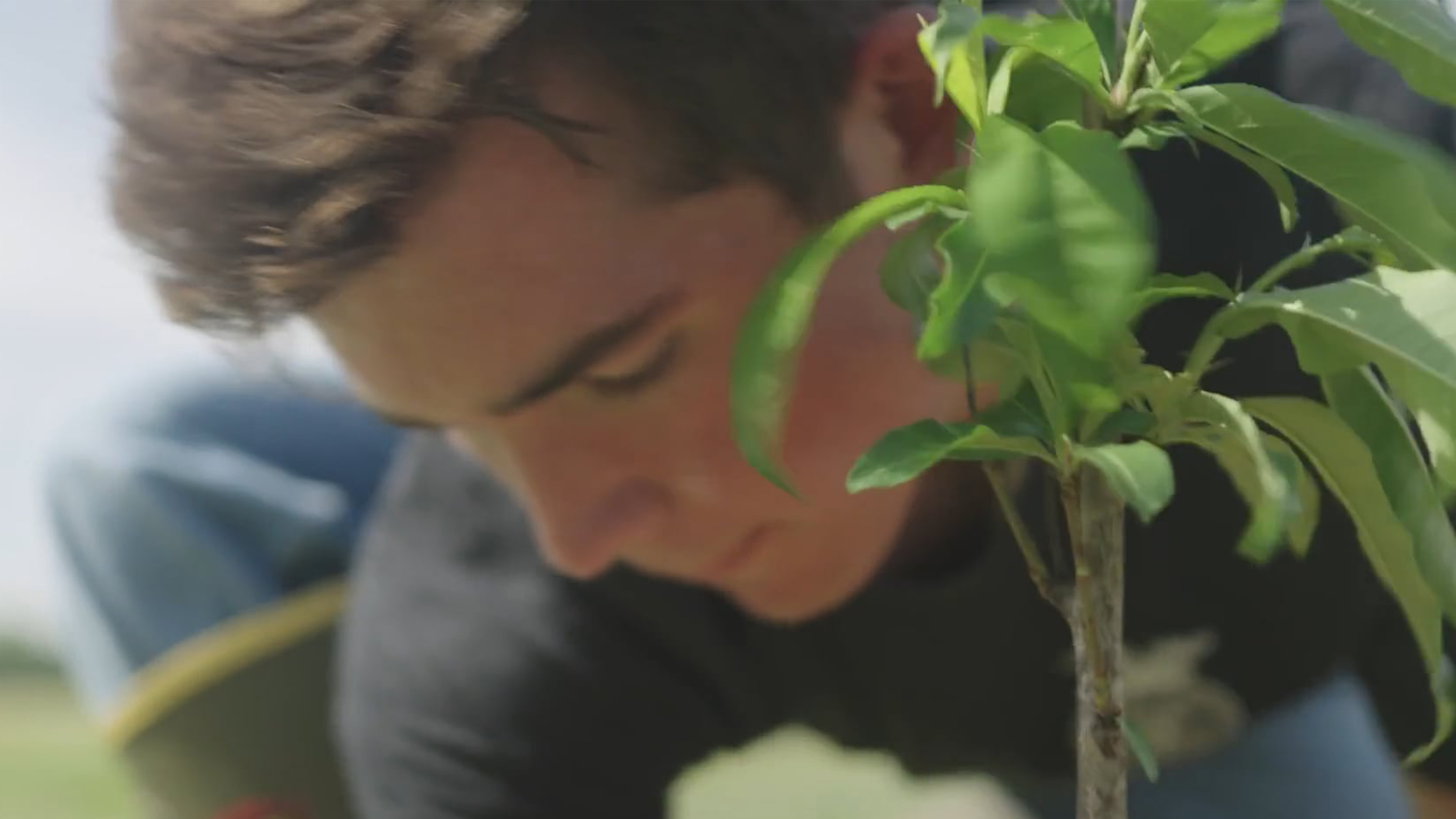 Plant Systems SAEs