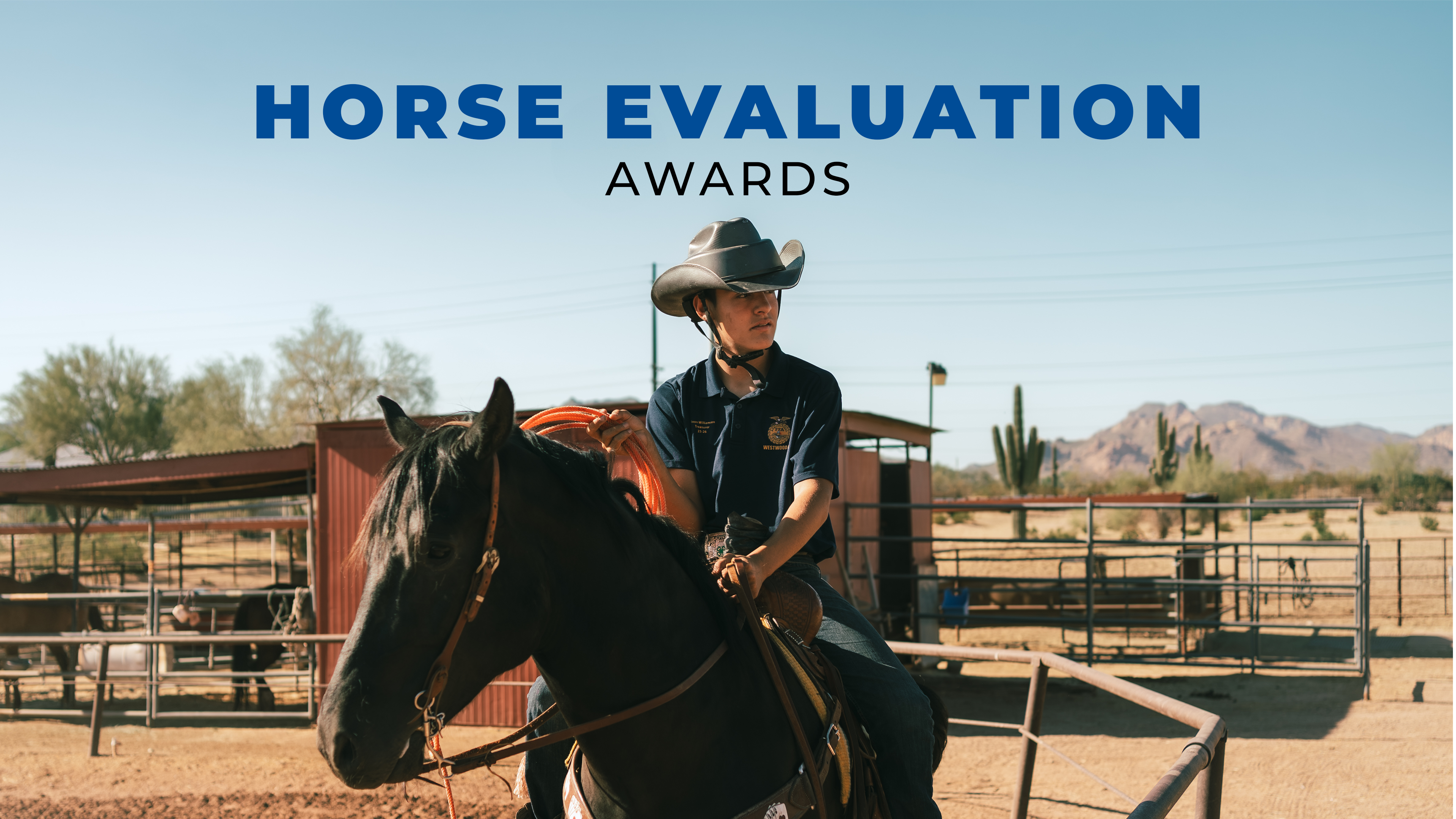 Horse Evaluation Awards | 2026 Convention