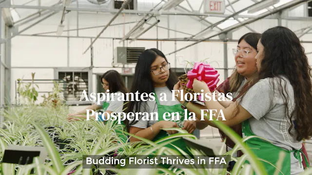 Aspirantes a Floristas Prosperan en F...