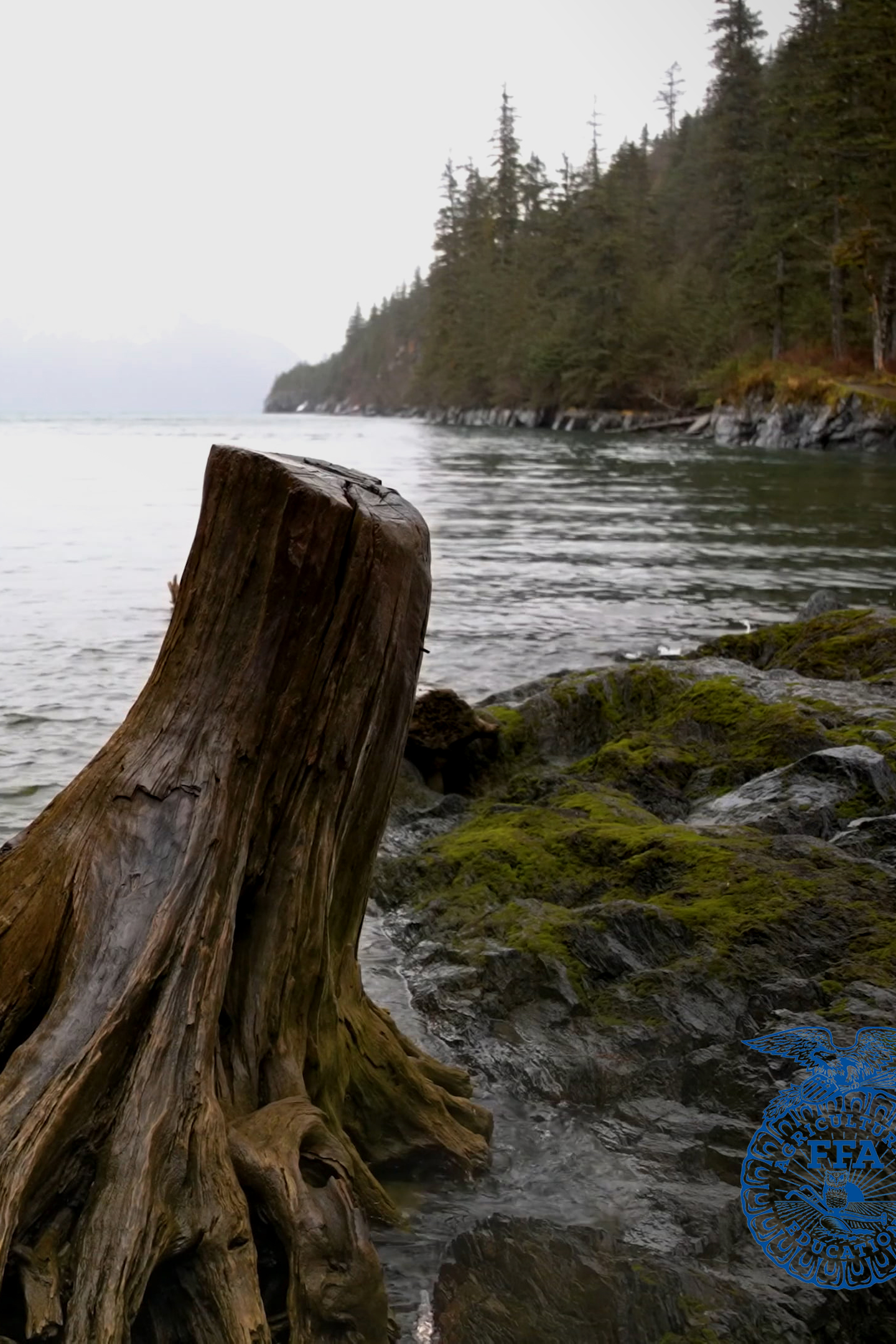 Coastal Cleanup