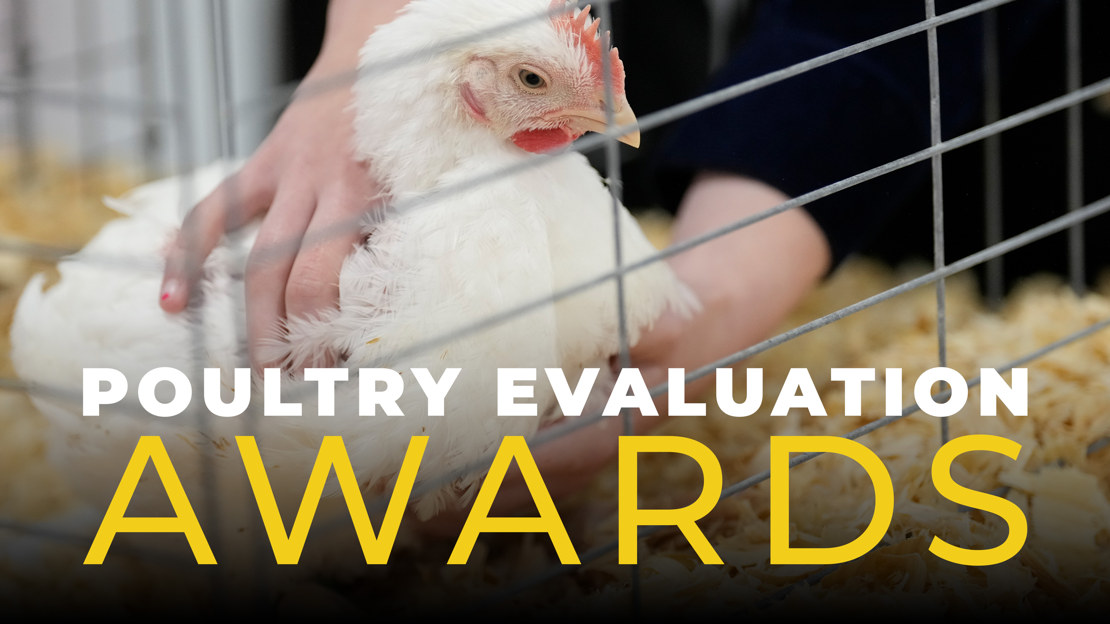 Poultry Evaluation Awards  | 2026 Convention