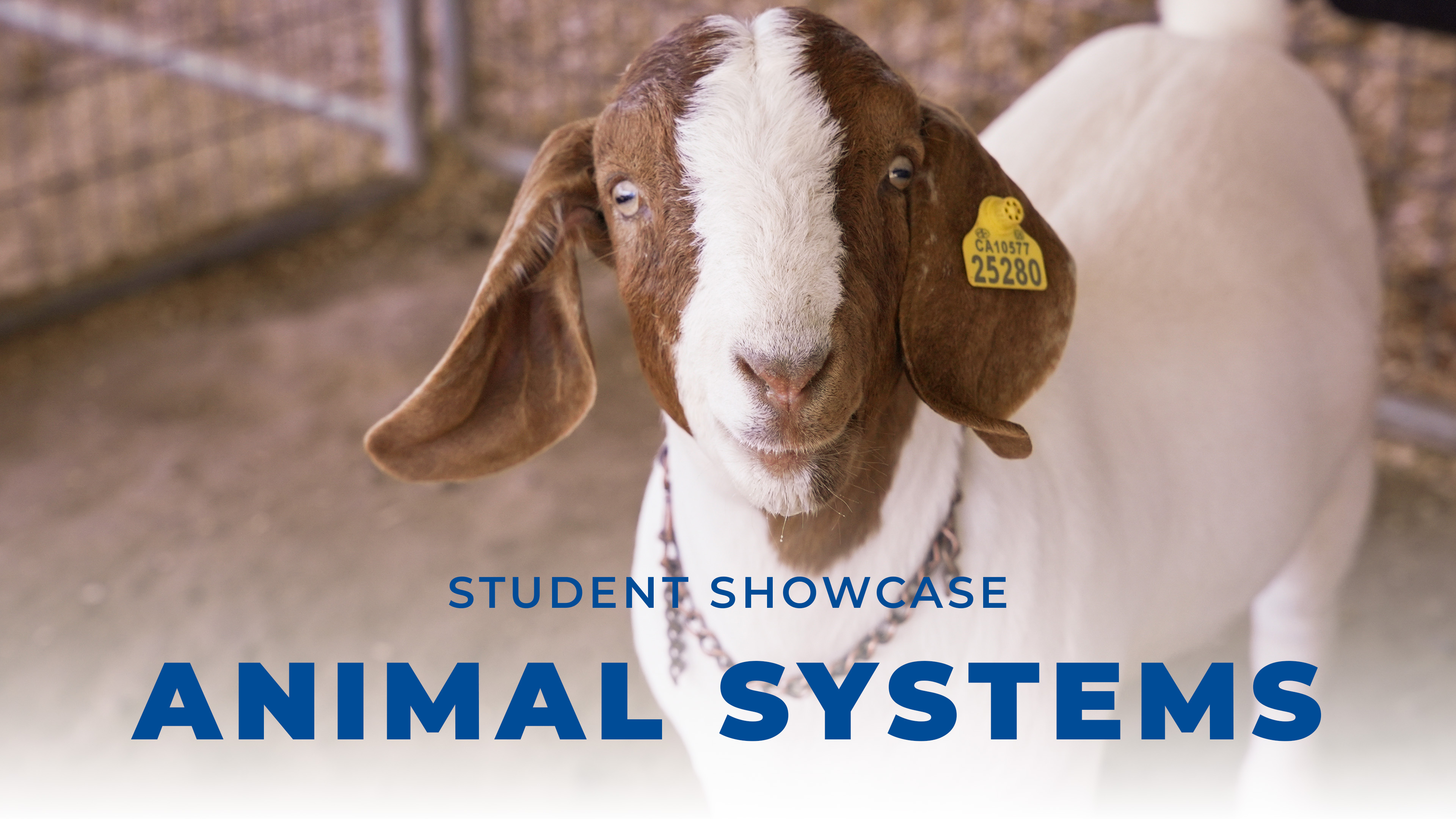 Student Showcase Stage: Animal Systems | 2026 Convention