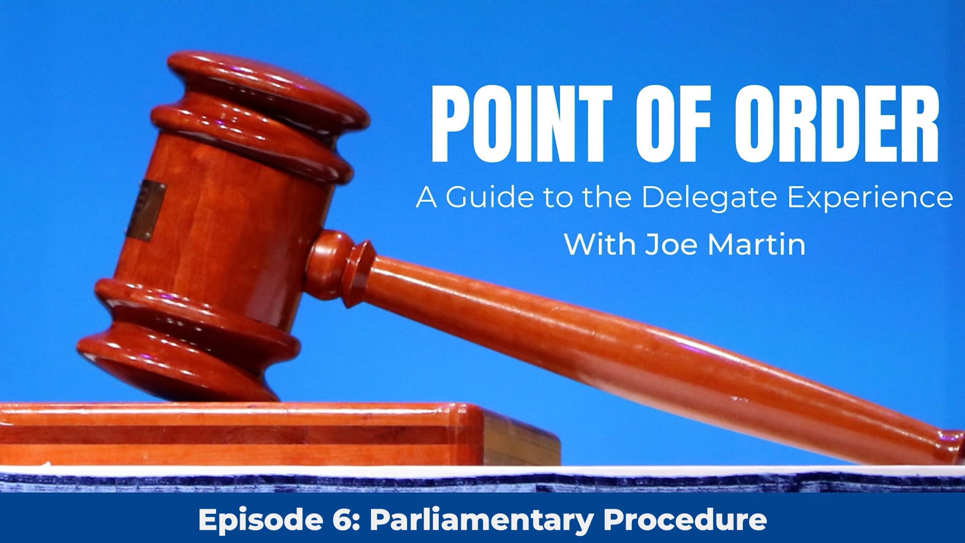 Episode 6 | Parliamentary Procedure