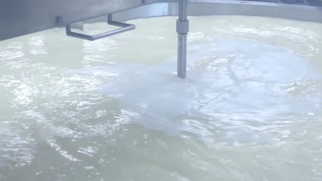 Chapter 2 Dairy to the Dish with Culvers