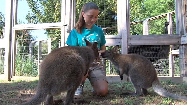 Louisville Zoo SAE
