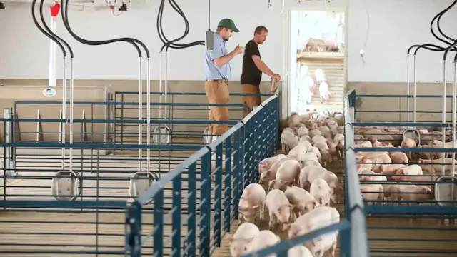 Zoetis Virtual Field Trip - Full Virt...