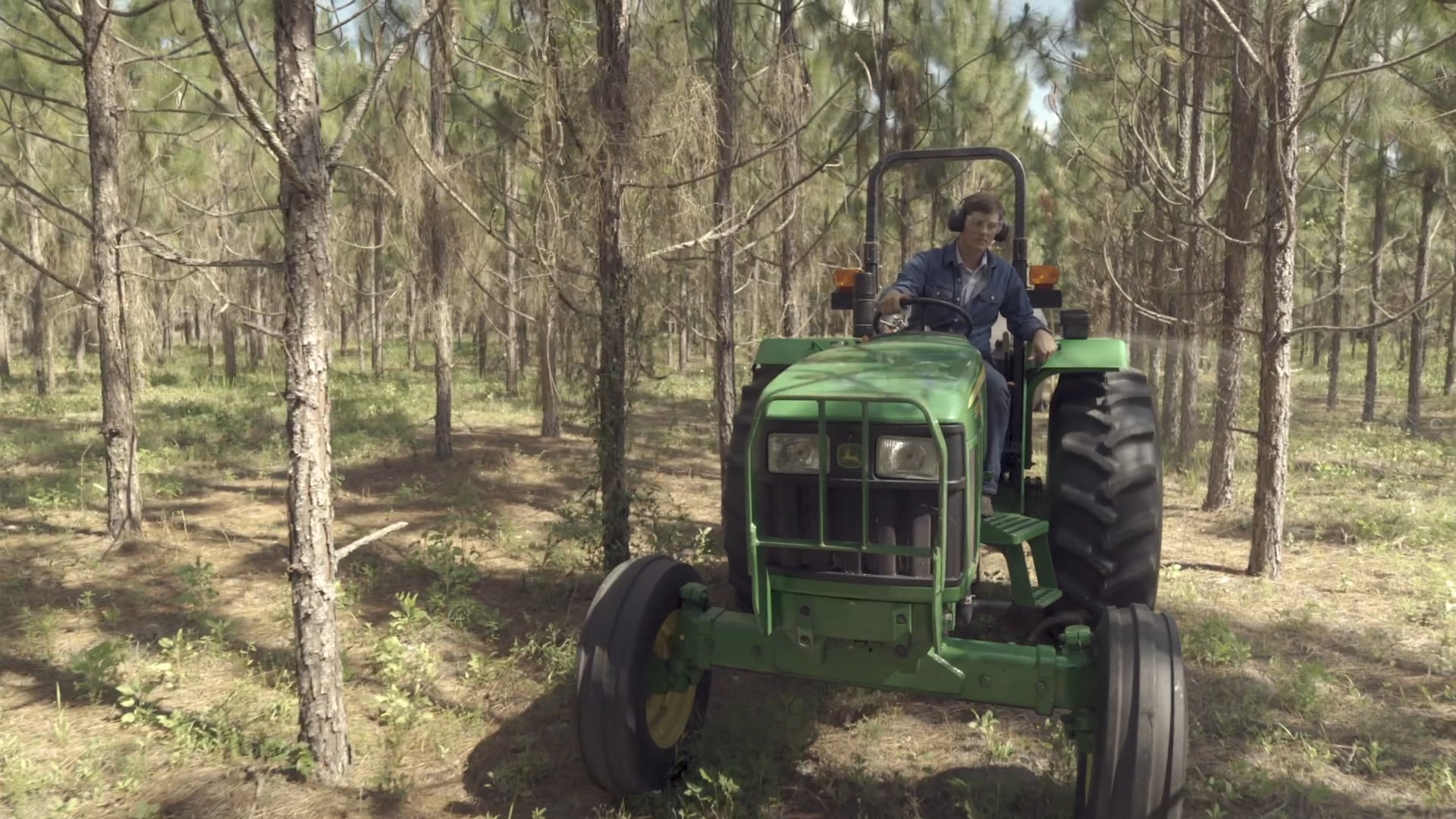 Pine Straw SAE