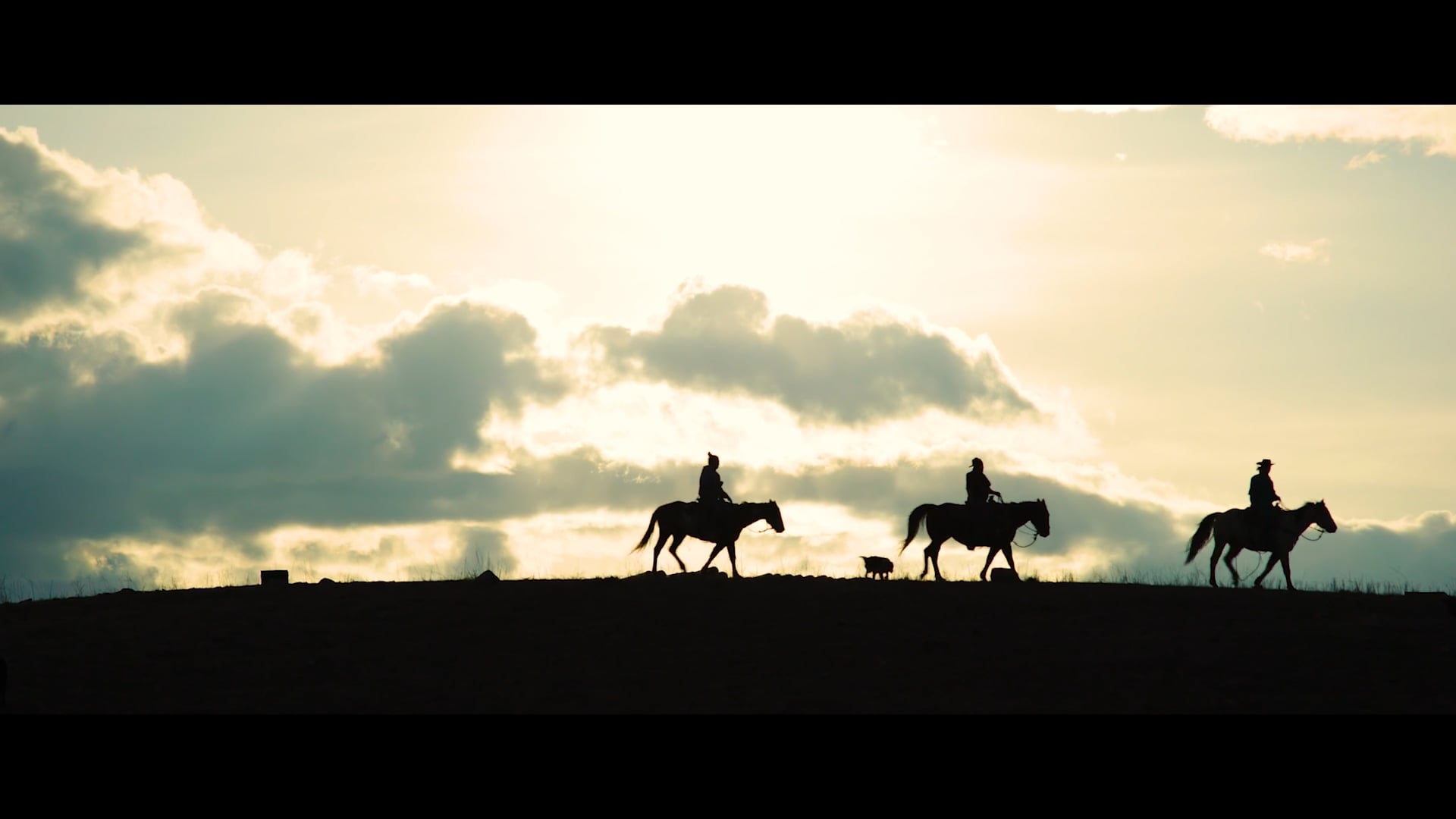 Help for Wild Horses