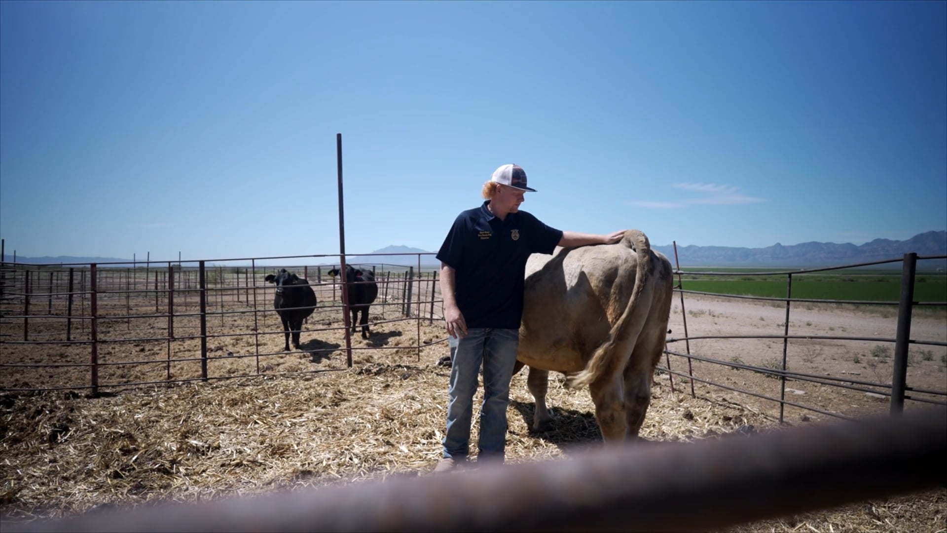 Ranch Management SAE