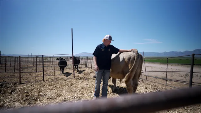 Ranch Management SAE