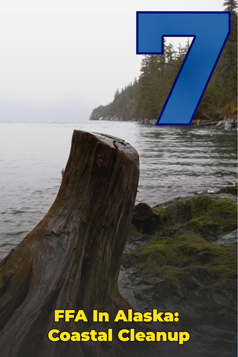 Coastal Cleanup