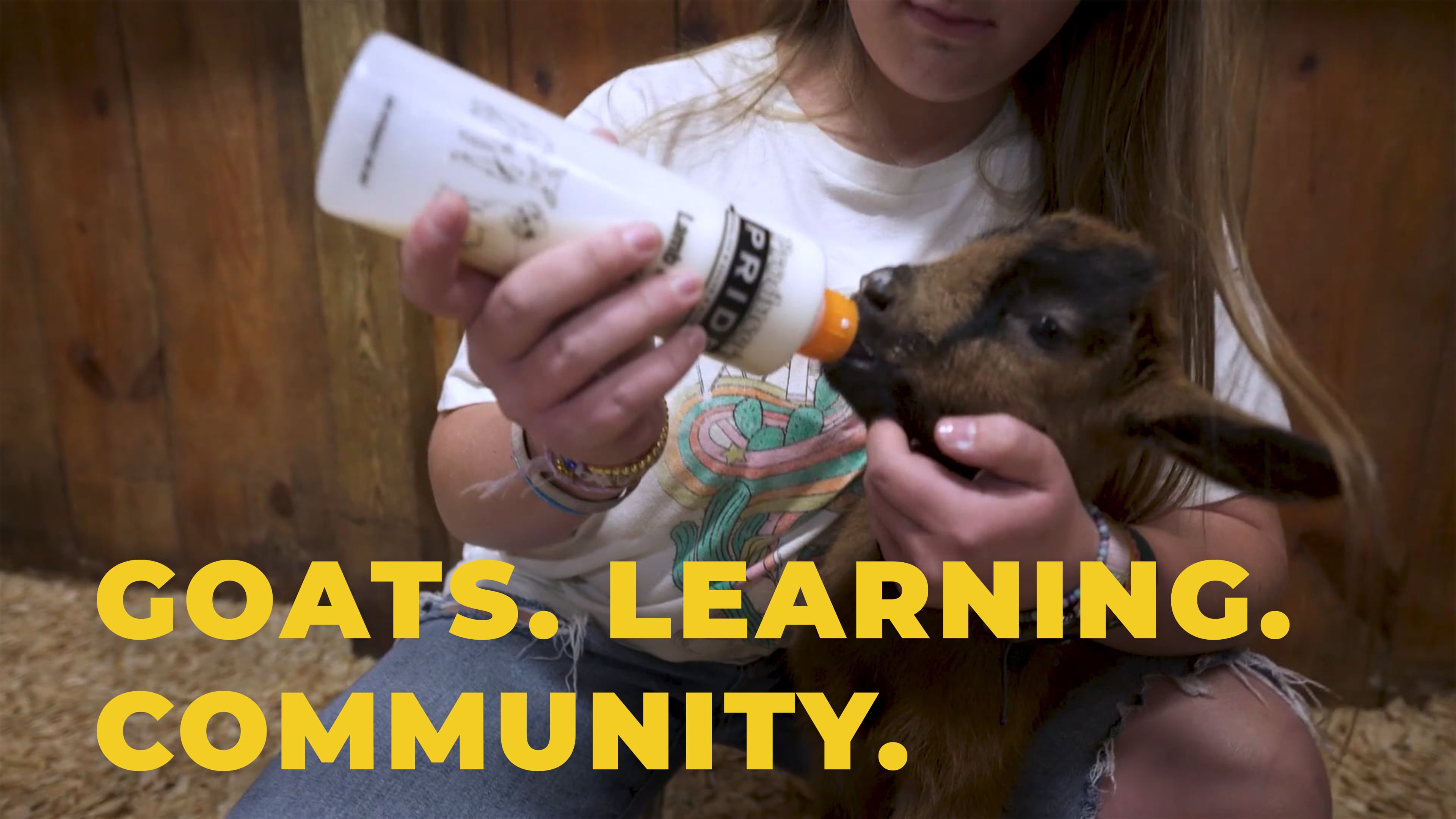 Learning Through Dairy Goats: Crest High School FFA | SAE