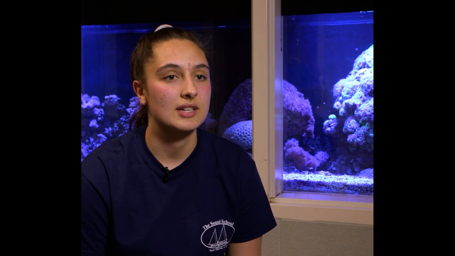 Micro Algae SAE — Featured Video Default 16:14