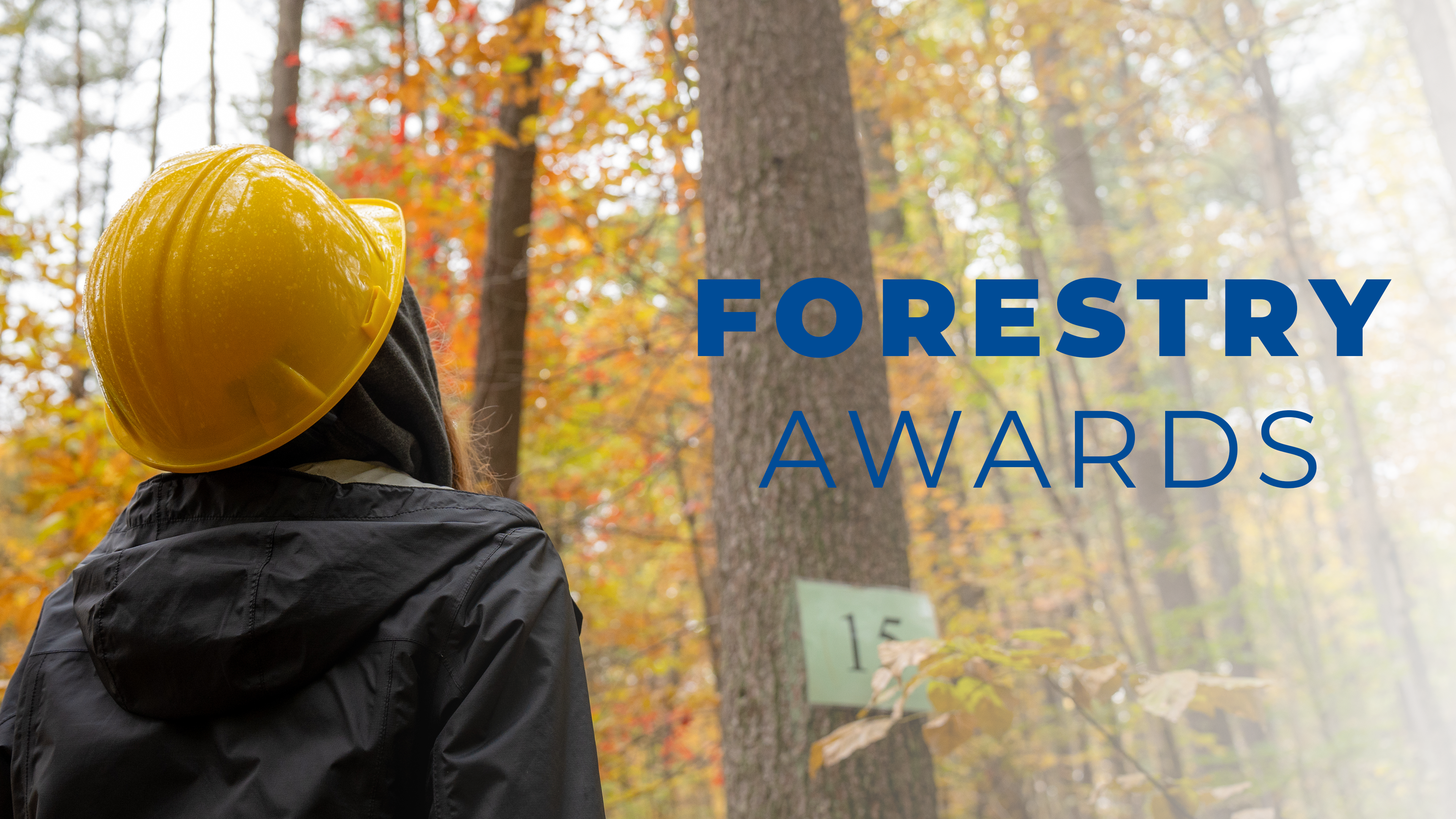 Forestry Awards | 2026 Convention