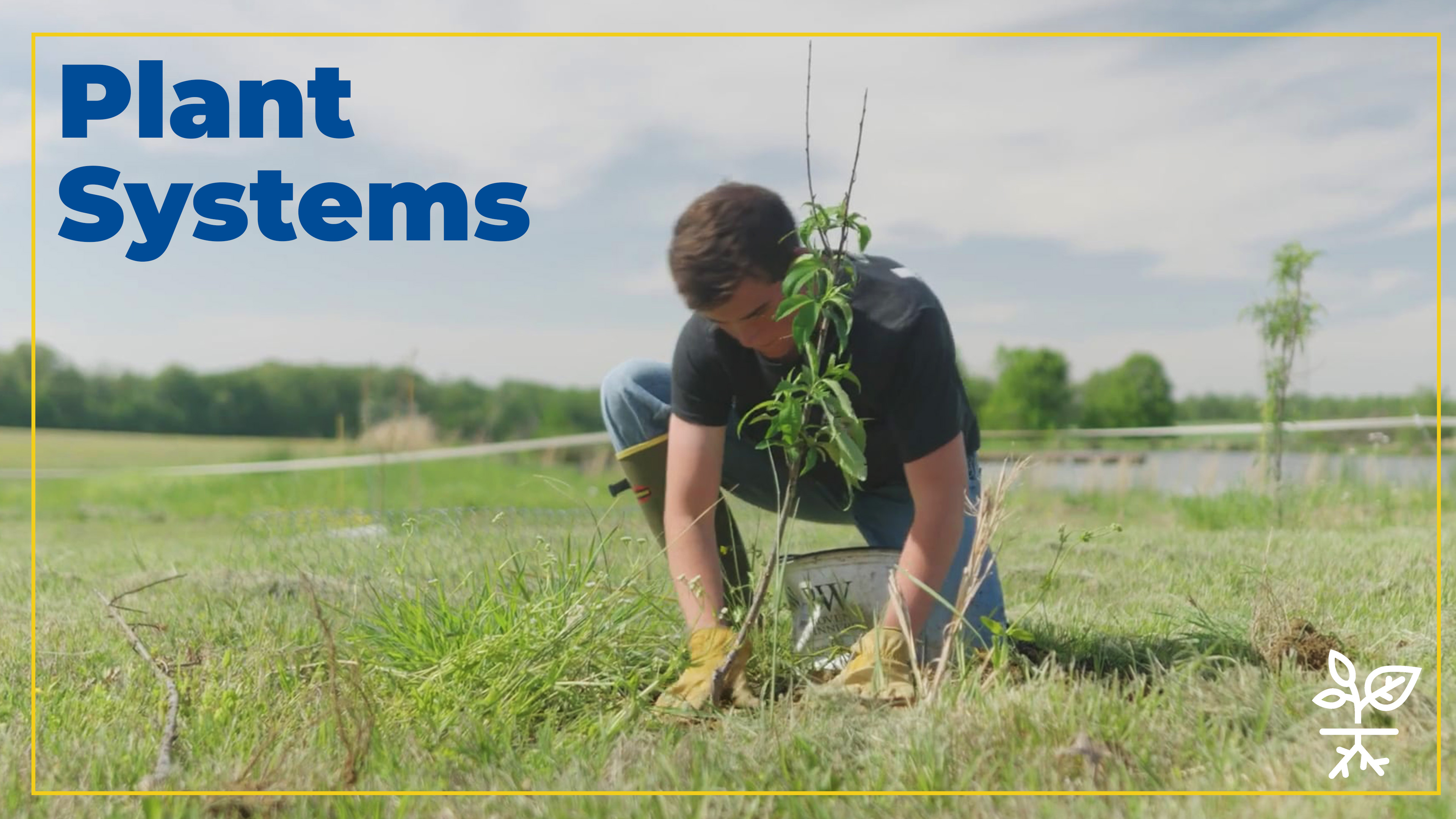 Plant Systems | SAE