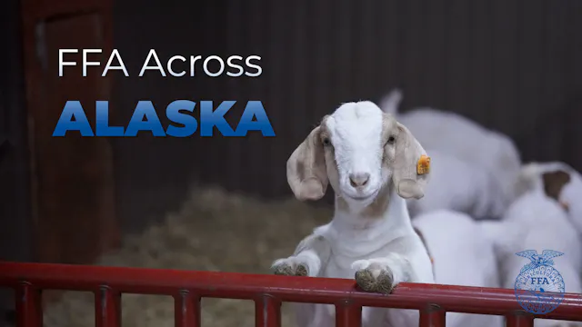 My Alaskan Family Farm