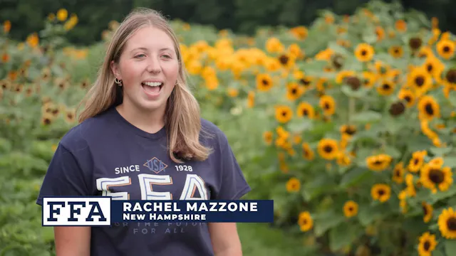 Diversified Livestock | SAE