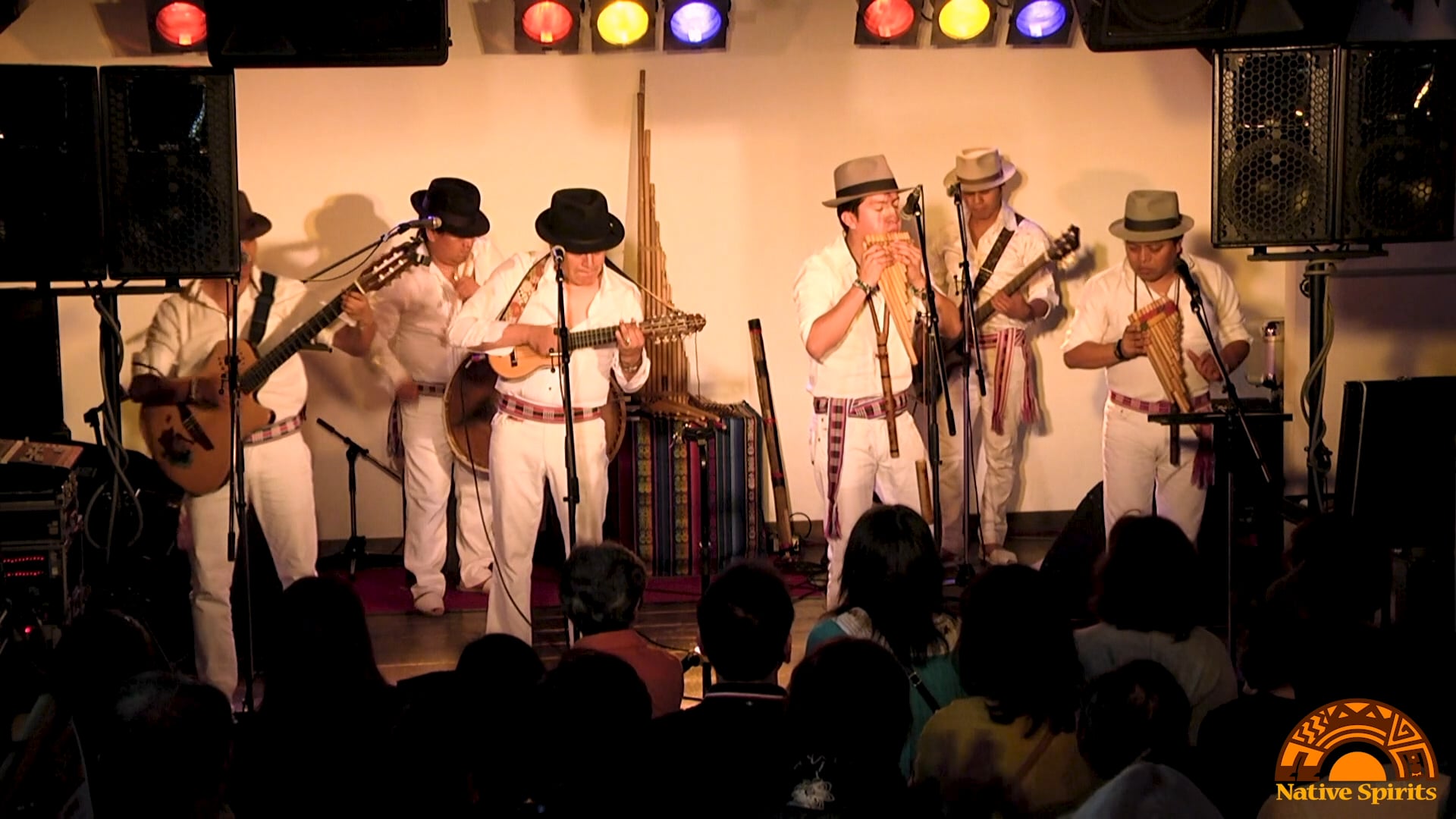 RAYMIS_Canela_en_flor