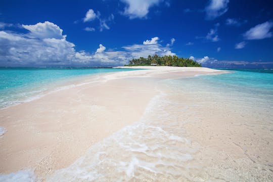 Perfect Paradise Part I 1 HR Dynamic ...