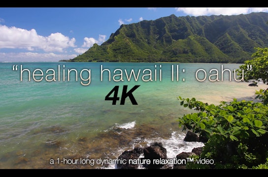 Healing Hawaii II Oahu (Nature Sounds) 1 HR Dynamic Relaxation Video