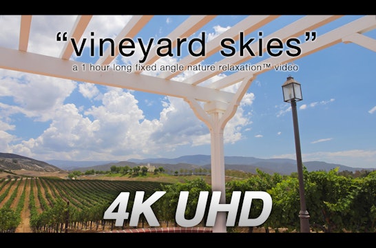 Vineyard Skies 1 HR Static Nature Scene