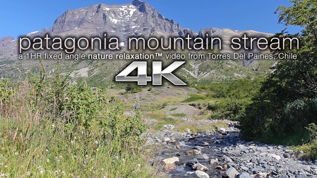 Patagonian Mountain Stream 1 HR Nature Scene - 4K