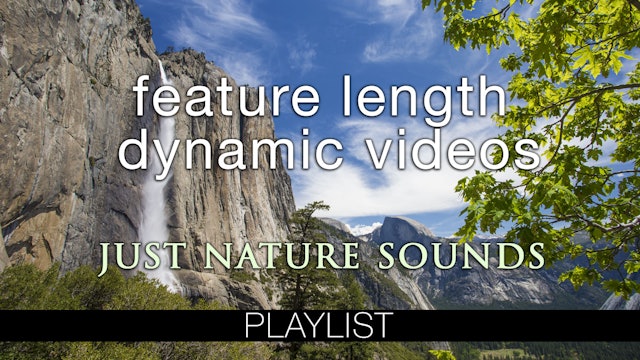 Feature Length Dynamic Films (Nature Sounds Only)