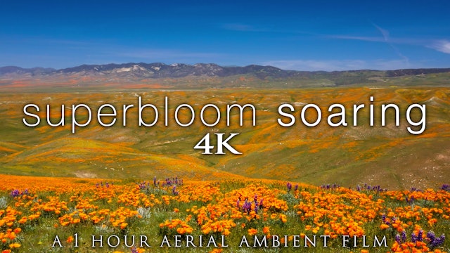 Superbloom Soaring 1HR Aerial Ambient Film + Music - California Spring 
