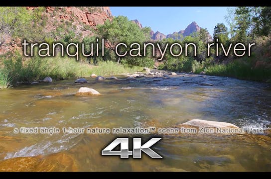 Tranquil Canyon River 4K 1 Hour Stati...