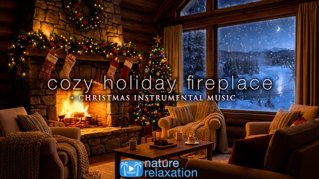Cozy Holiday Fireplace (+ Christmas I...