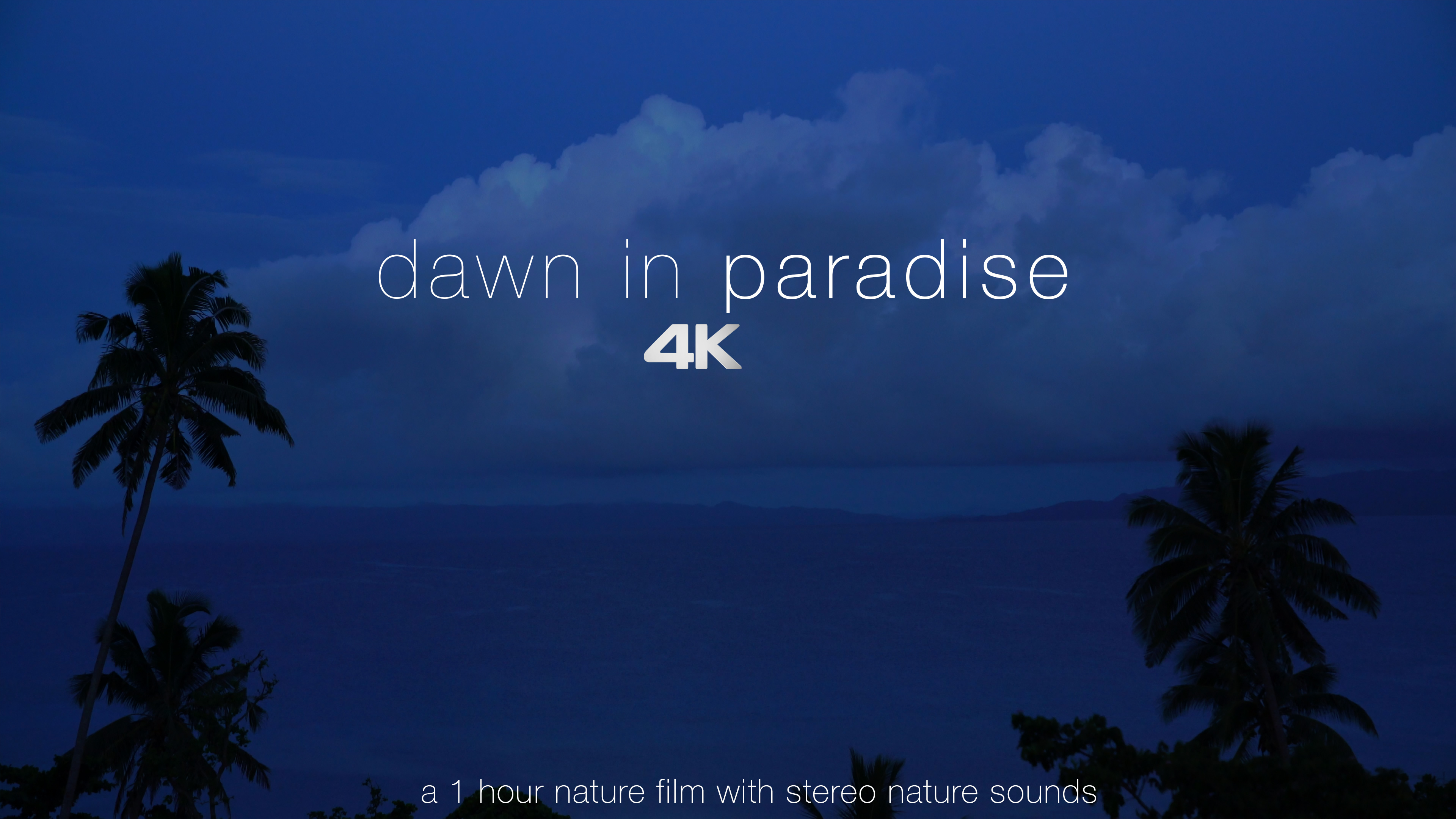 Dawn in Paradise 1HR Dynamic Film + Stereo Nature Sounds - Fiji & Antigua