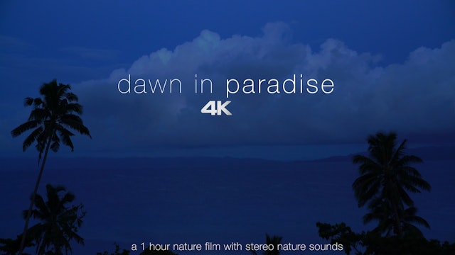 Dawn in Paradise 1HR Dynamic Film + Stereo Nature Sounds - Fiji & Antigua